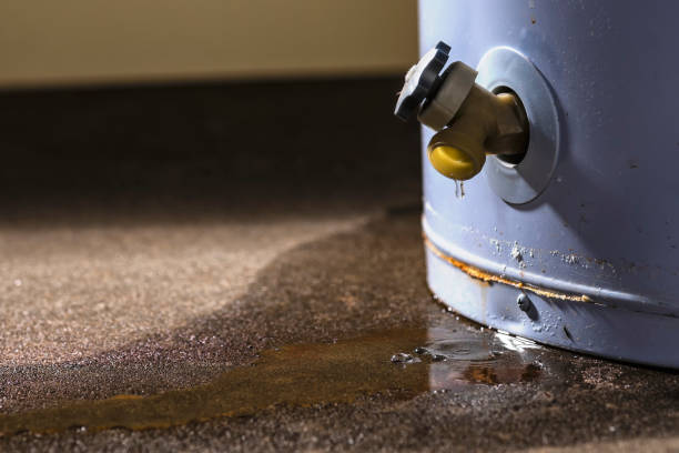 Best Sewage cleanup and water damage restoration  in USA